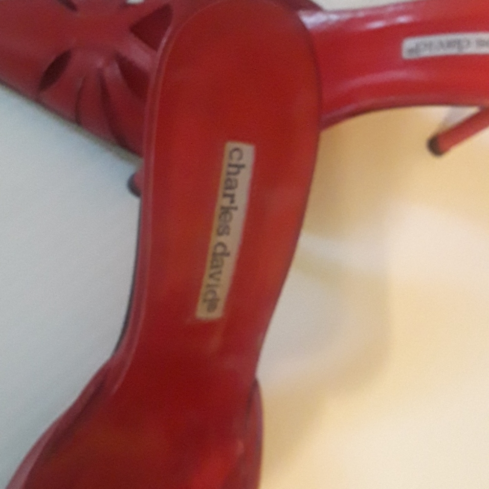Charles David shoes